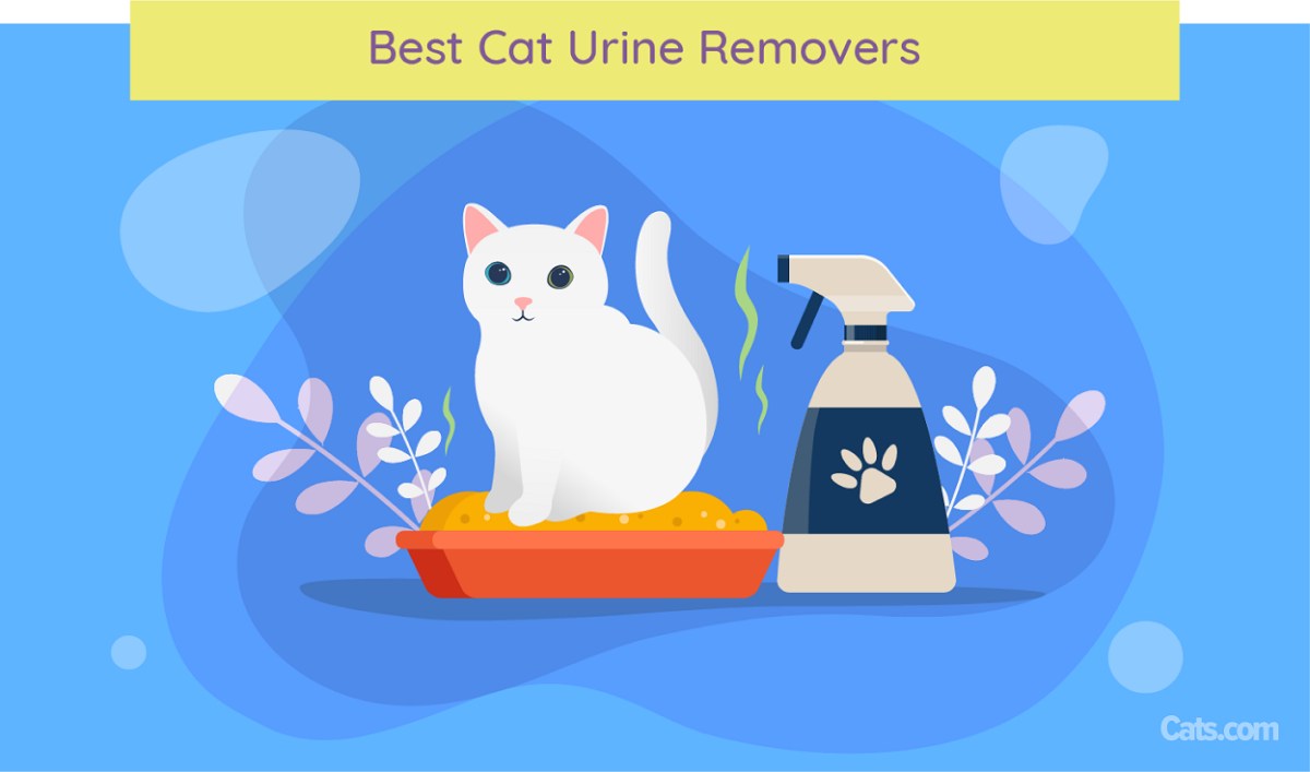 Best Cleaner for Cat Urine on Hardwood Floors